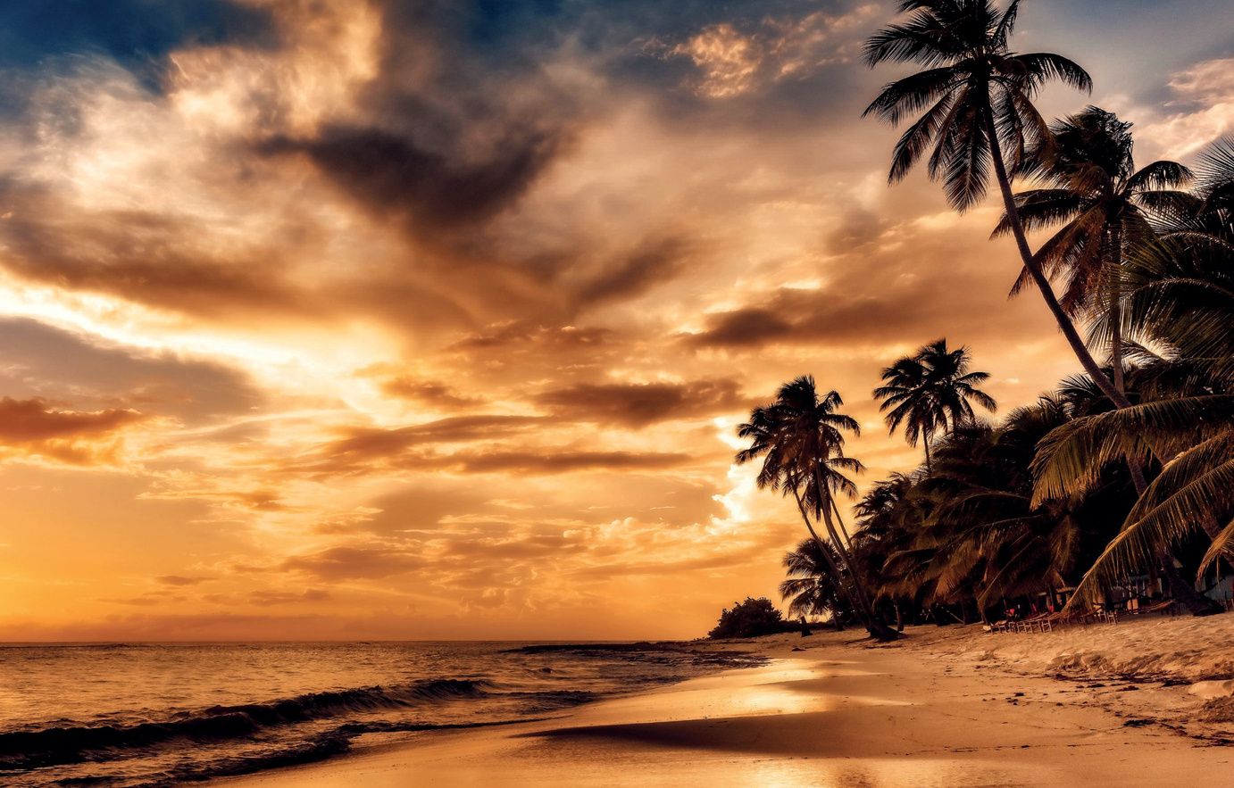 Juanillo Beach, Cap Cana at sunset, palms over the sand